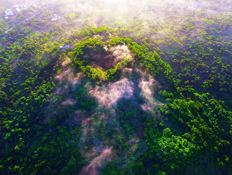 1771031908529205.png cb8e1223-24d8-464e-9e71-dbb33b785ff3.png