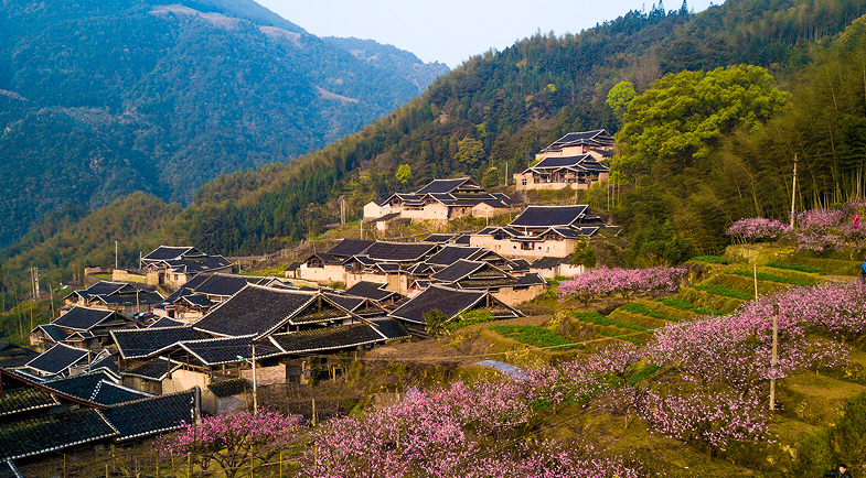 1771032143727006.png image.png