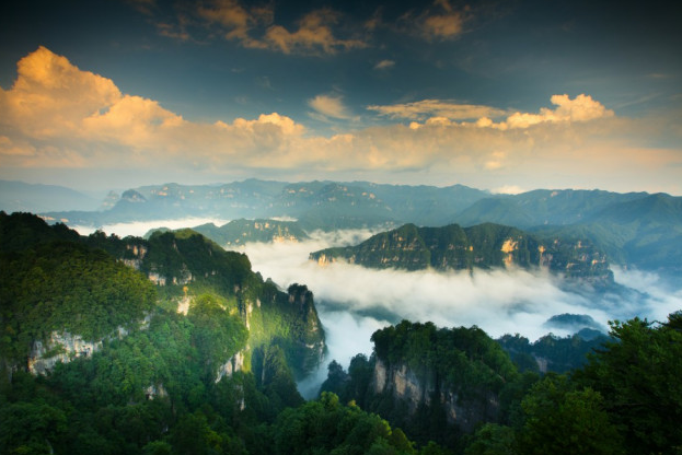 1771032719493615.png image.png