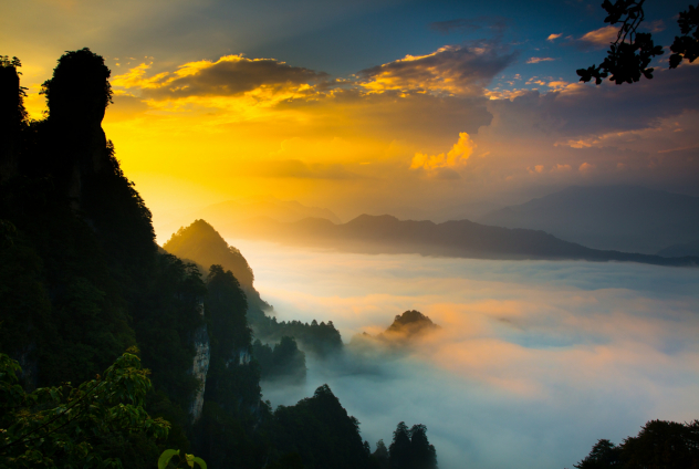 1771032739364307.png image.png