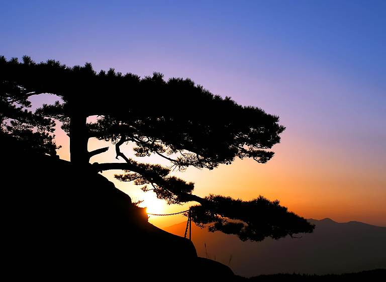 1771032911214729.png image.png