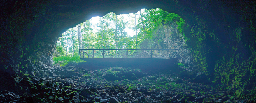 1772267153900404.png e274c070b1ef9b558e5115f2f88eb813.png