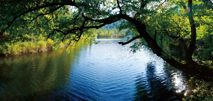 1772269051290578.png 夏—鸳鸯湖.png