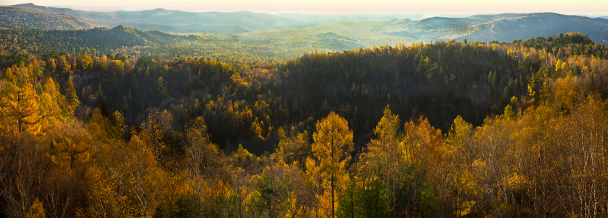 1772285747976754.png ec605c0bd886b8b5c70a1dd245de16ea.png