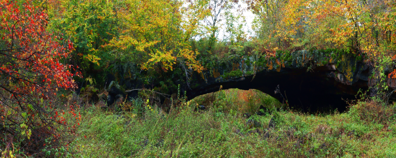 1772285845593718.png 372e94d4938ba3c6a50f7ced60f397f9.png