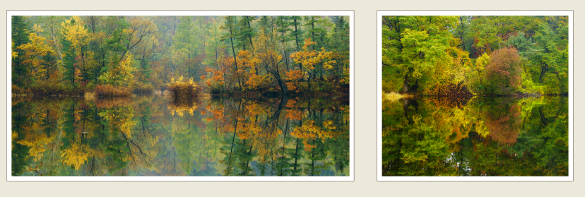 1772285957454801.png b83f697521480851c3a5824d78a16703.png