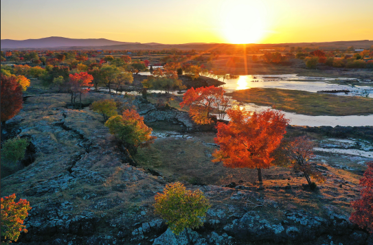 1772291699407675.png 7dc007607b5eeeac6afd250566ac2956.png